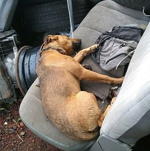 Meet your Posher, Matt